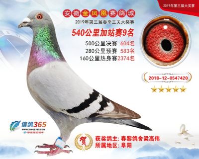 金凤凰加站赛9名
