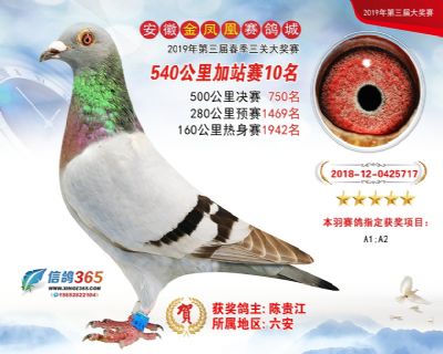 金凤凰加站赛10名