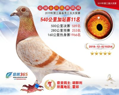 金凤凰加站赛11名