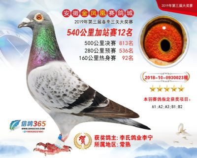 金凤凰加站赛12名