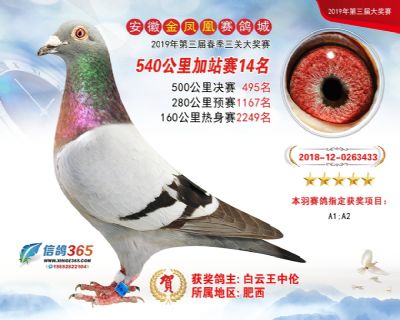 金凤凰加站赛14名