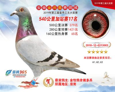 金凤凰加站赛17名