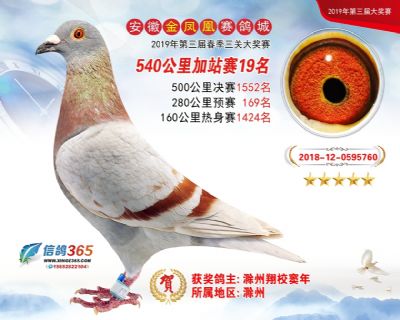 金凤凰加站赛19名