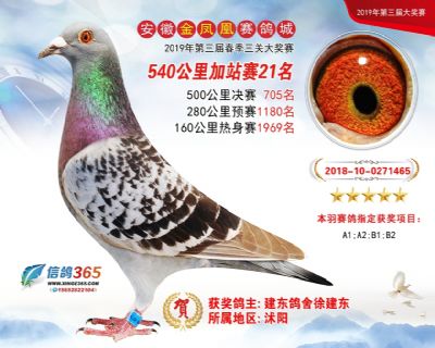 金凤凰加站赛21名
