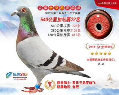 金凤凰加站赛22名