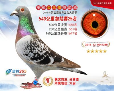 金凤凰加站赛25名