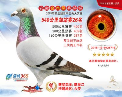 金凤凰加站赛26名