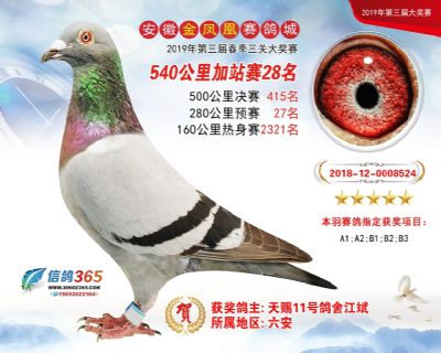 金凤凰加站赛28名