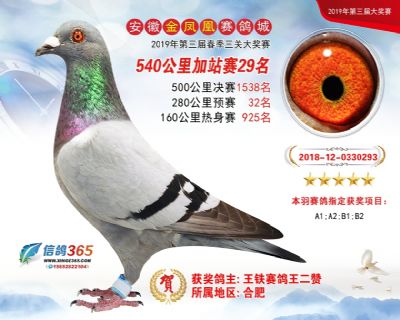 金凤凰加站赛29名