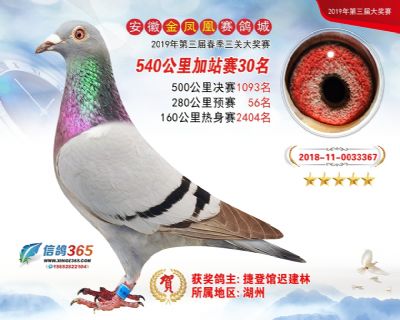 金凤凰加站赛30名