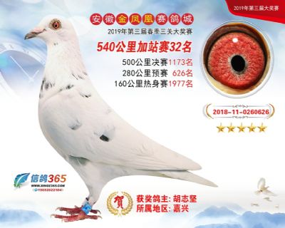 金凤凰加站赛32名