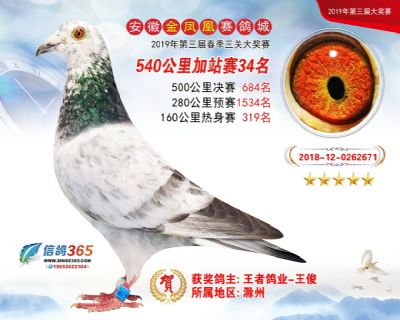 金凤凰加站赛34名