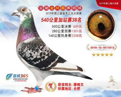 金凤凰加站赛38名