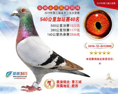 金凤凰加站赛40名