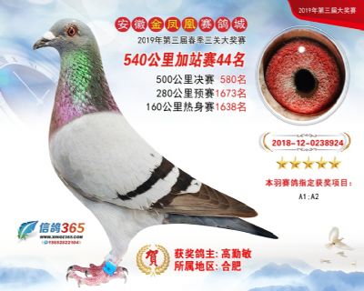 金凤凰加站赛44名