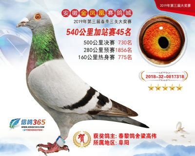 金凤凰加站赛45名