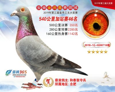 金凤凰加站赛46名