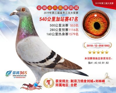 金凤凰加站赛47名