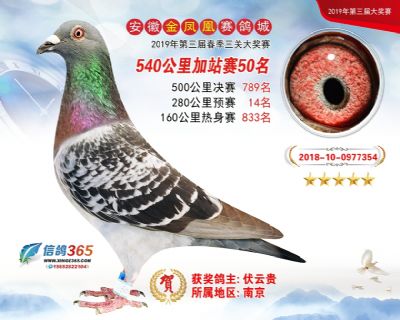 金凤凰加站赛50名