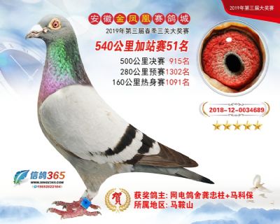 金凤凰加站赛51名