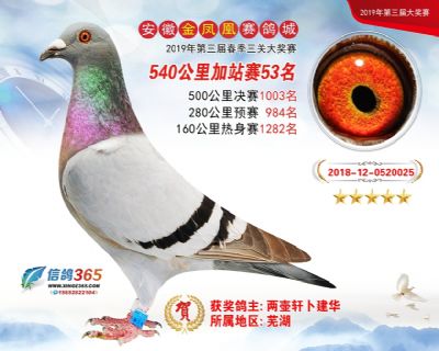 金凤凰加站赛53名
