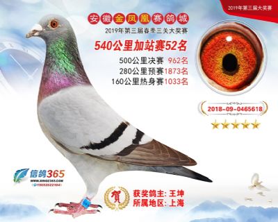 金凤凰加站赛52名