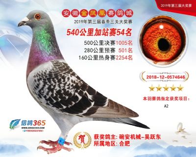 金凤凰加站赛54名