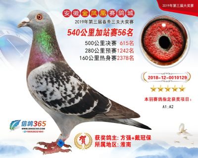 金凤凰加站赛56名