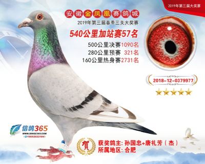 金凤凰加站赛57名
