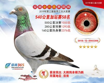 金凤凰加站赛58名