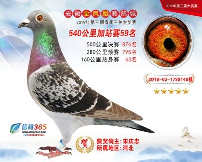 金凤凰加站赛59名