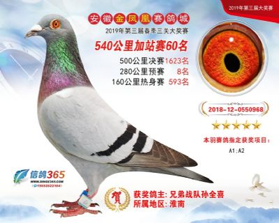 金凤凰加站赛60名