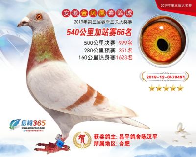金凤凰加站赛66名
