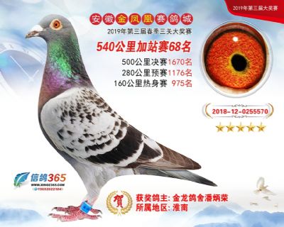 金凤凰加站赛68名