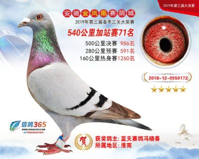 金凤凰加站赛71名