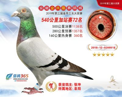 金凤凰加站赛72名