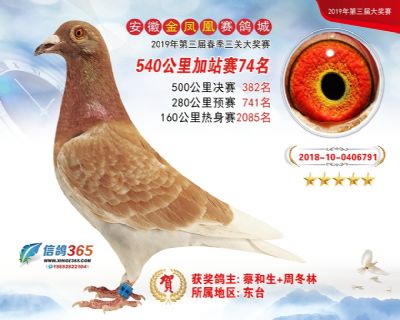 金凤凰加站赛74名