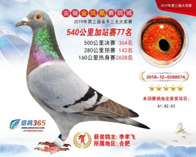 金凤凰加站赛77名
