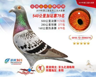 金凤凰加站赛79名