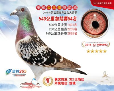 金凤凰加站赛84名
