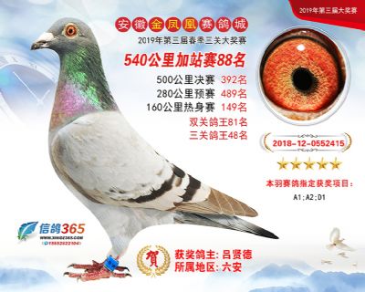 金凤凰加站赛88名