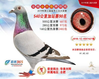 金凤凰加站赛90名