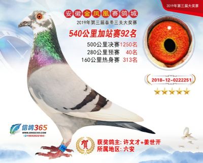 金凤凰加站赛92名