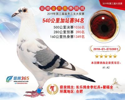 金凤凰加站赛94名