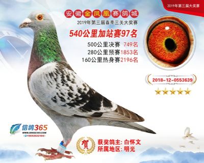 金凤凰加站赛97名