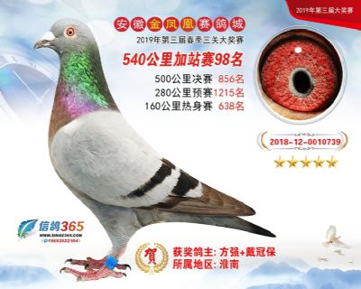 金凤凰加站赛98名