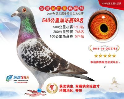 金凤凰加站赛99名