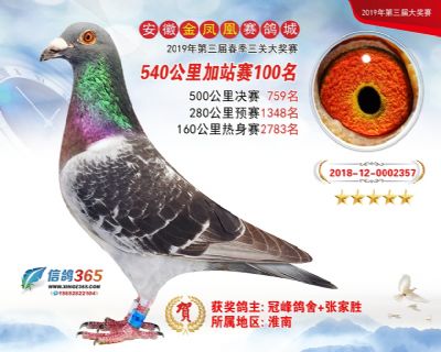 金凤凰加站赛100名