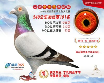 金凤凰加站赛101名