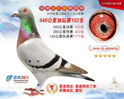 金凤凰加站赛102名